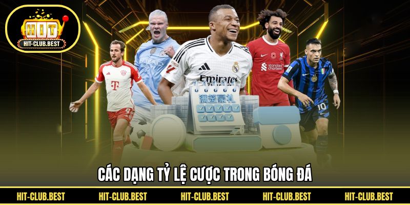 Các dạng tỷ lệ cược trong bóng đá