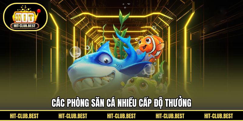 Các phòng săn cá nhiều cấp độ thưởng