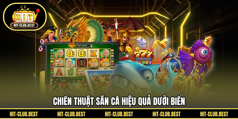 Chiến thuật săn cá hiệu quả dưới biển