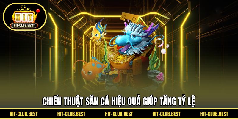 Chiến thuật săn cá hiệu quả giúp tăng tỷ lệ