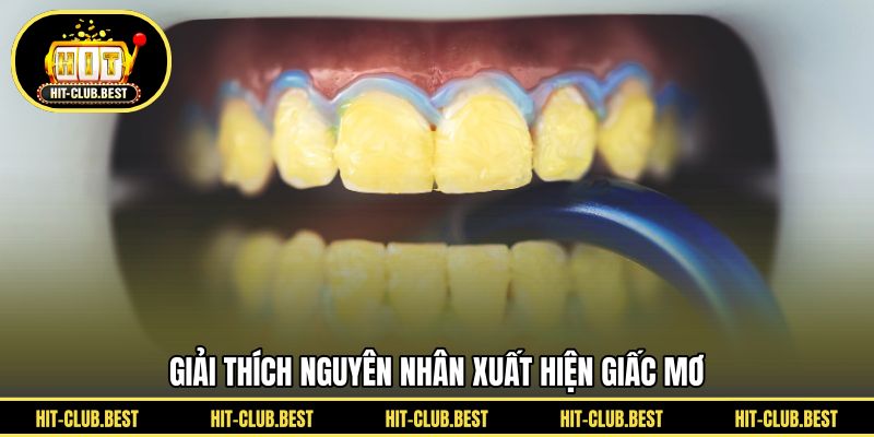 Giải thích nguyên nhân xuất hiện giấc mơ