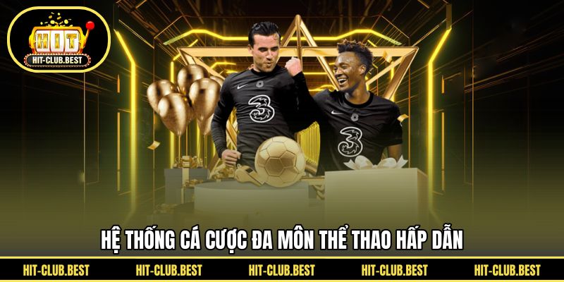 Hệ thống cá cược đa môn thể thao hấp dẫn