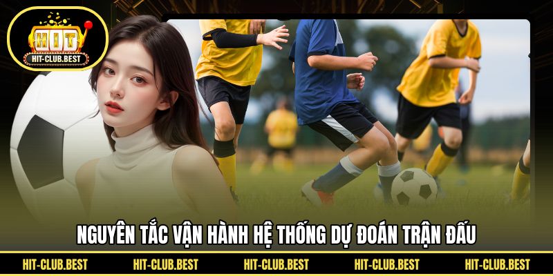 Nguyên tắc vận hành hệ thống dự đoán trận đấu